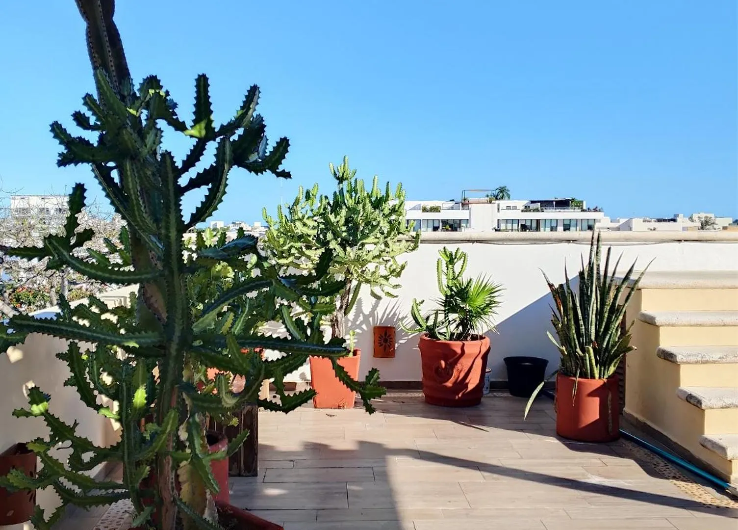Suites Relax Playa Playa del Carmen